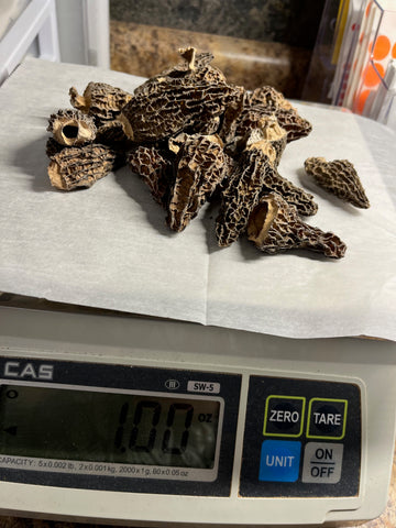 Morel Mushrooms
