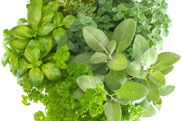 Tuscan Herb Infused Olive Oil