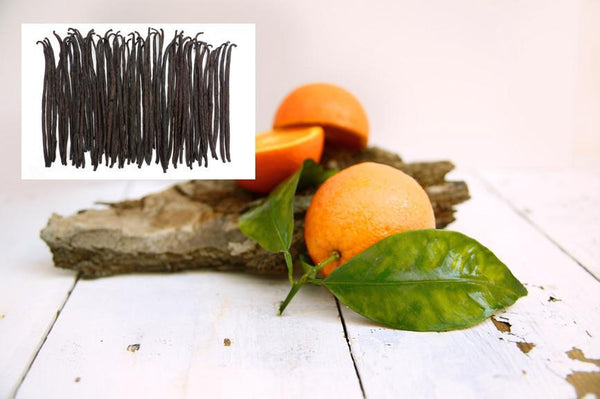 Cara Cara Vanilla Balsamic Vinegar Condimento