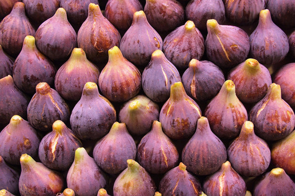Fig Balsamic Vinegar Condimento